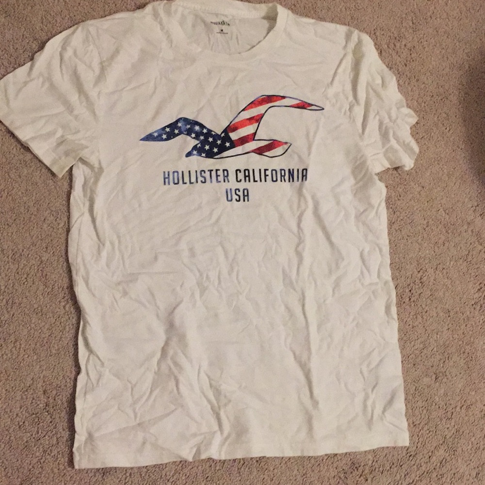 hollister usa t shirt